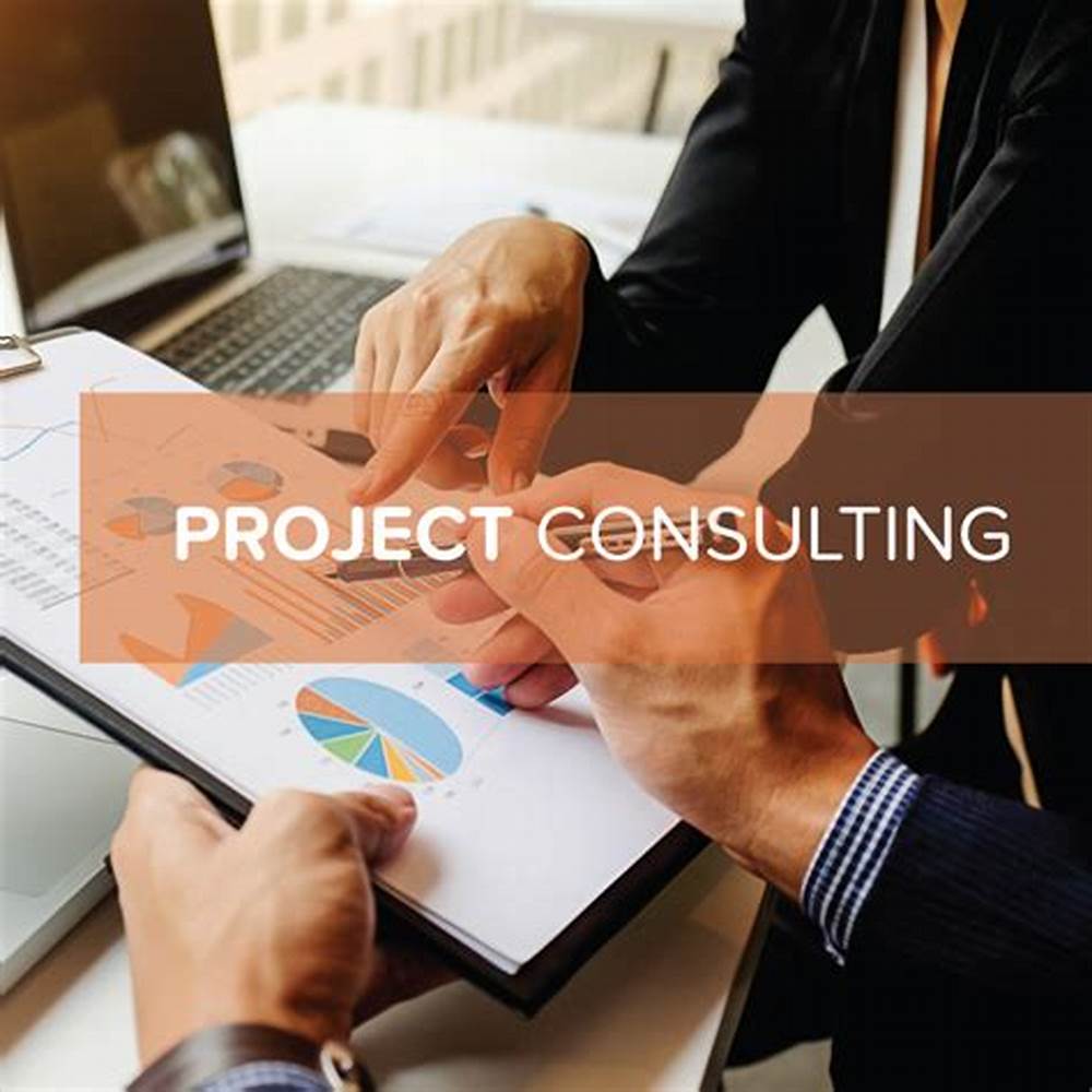 Project Consultation